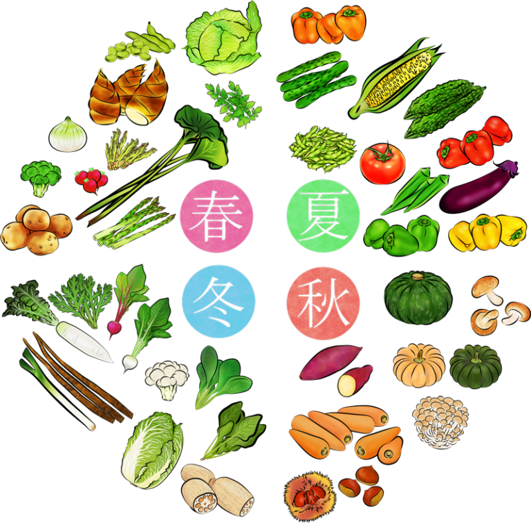 季節の旬のお野菜